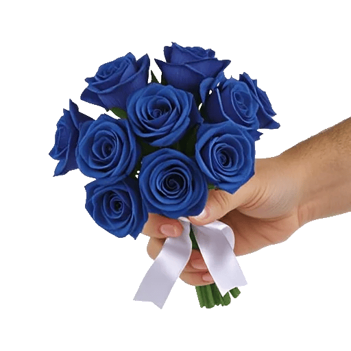 Elegant Blue Roses
