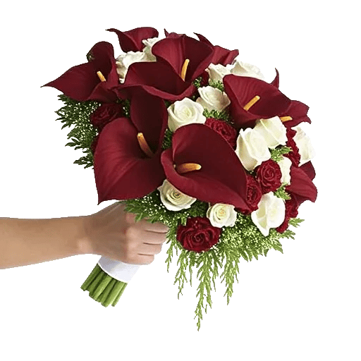 Elegant Calla Lilies