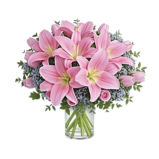 Blossom Harmony Display