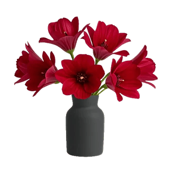 Crimson Lily Glow