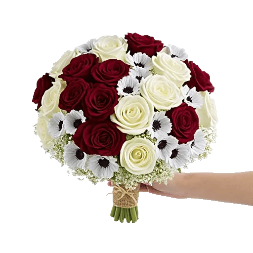 Blushing Rose Symphony