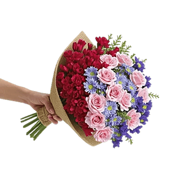 Blushing Rose Symphony