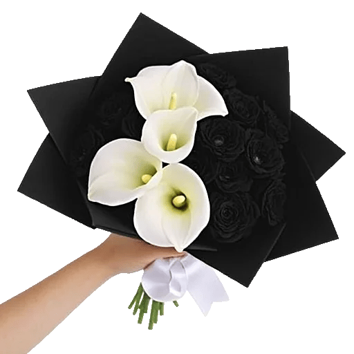 Elegant Calla Lilies