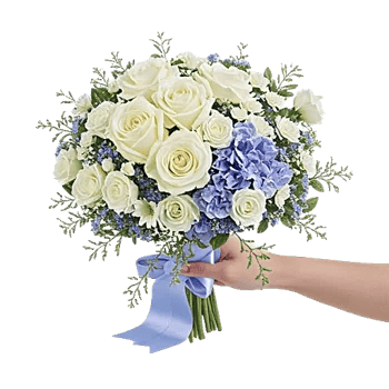 Serene Petal Harmony