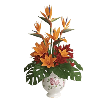 Petal Radiance Bliss