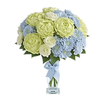 Serene Petal Harmony