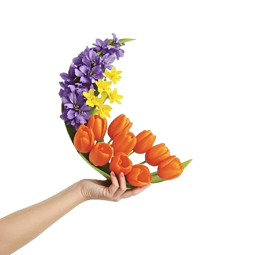 Radiant Bloom Cascade