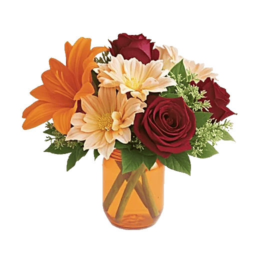 Petal Radiance Bliss