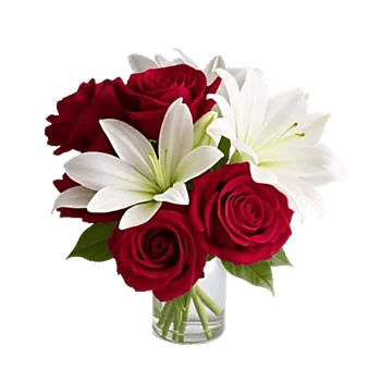 Radiant Rose Symphony