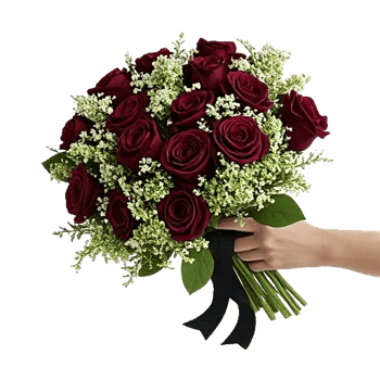 Blushing Rose Symphony