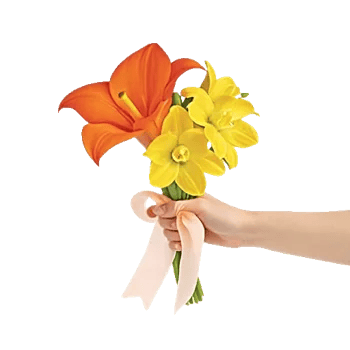 Elegant Calla Lilies