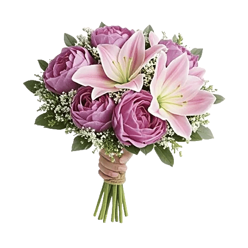 Peony Petal Harmony