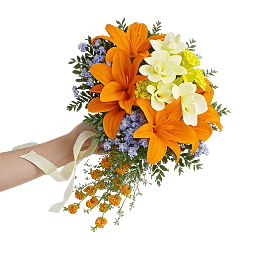 Delicate Petal Cascade