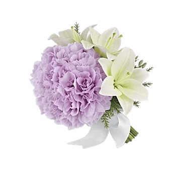 Serene Petal Harmony