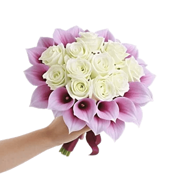 Elegant Calla Lilies