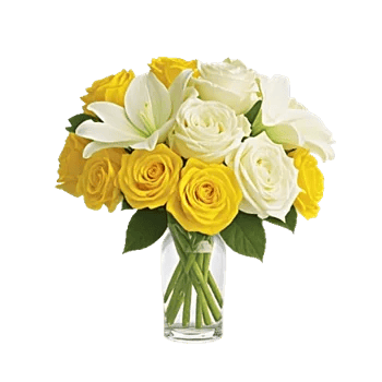 Radiant Rose Symphony