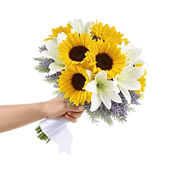 Blossom Harmony Display