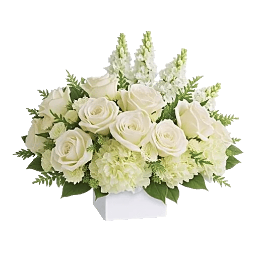 Delicate Petal Cascade