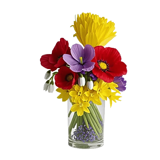 Petal Radiance Bliss