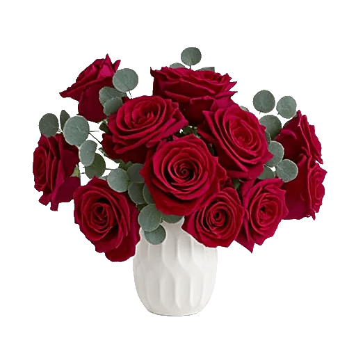 Crimson Rose Elegance