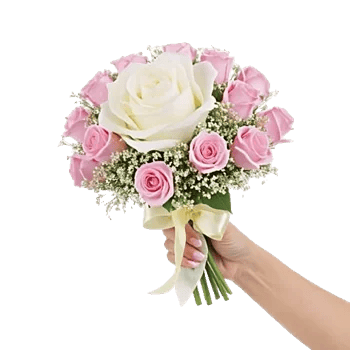 Pastel Pink Roses