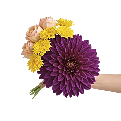 Radiant Bloom Cascade