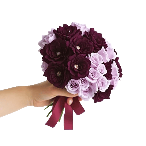 Petal Softness Display