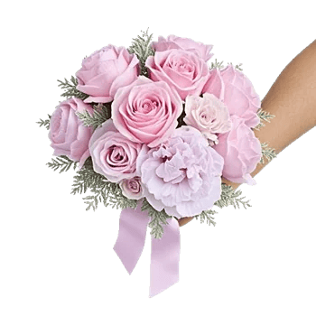 Pastel Pink Roses