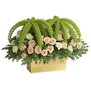 Delicate Petal Cascade