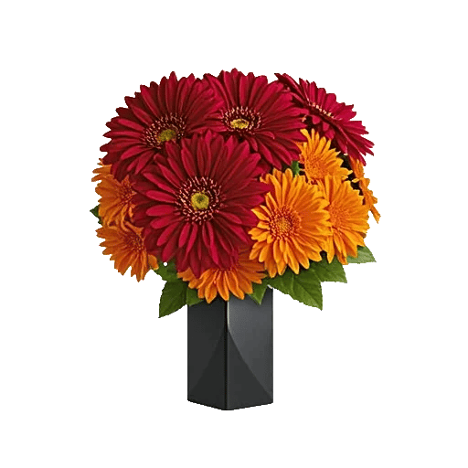 Crimson Blossom Harmony