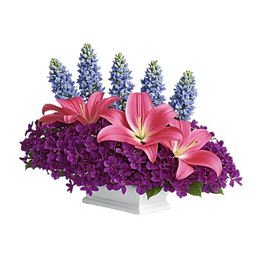 Blossom Petal Serenity