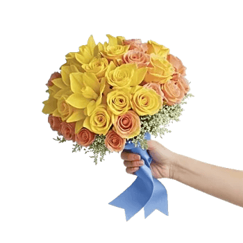 Soft Sunlight Blooms