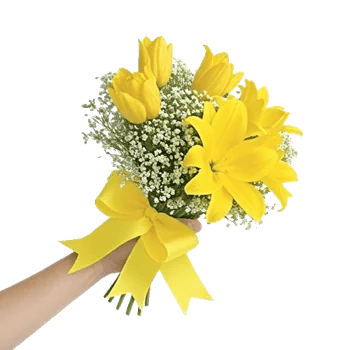 Blossom Harmony Display