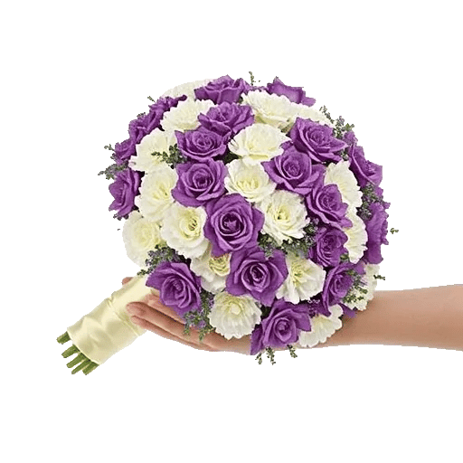 Pastel Pink Roses
