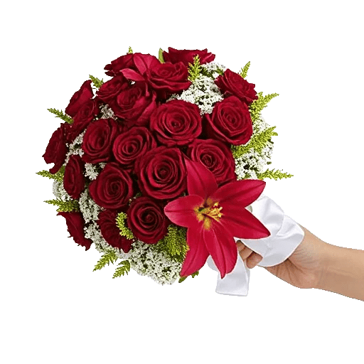 Crimson Rose Elegance