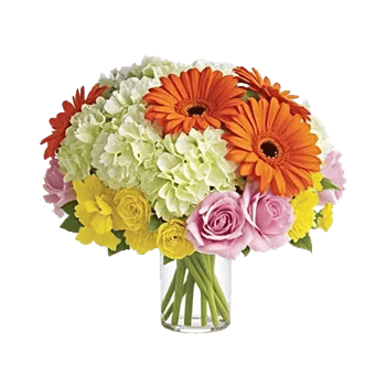 Petal Harmony Bliss