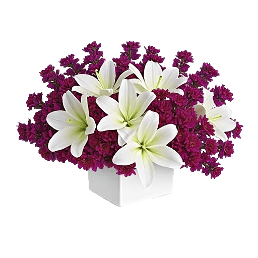 Graceful Lily Display