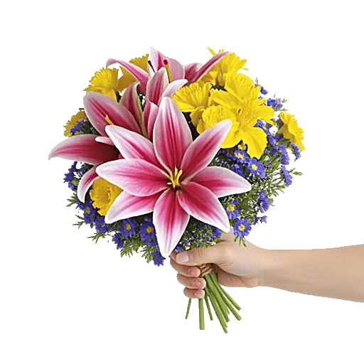 Blossom Harmony Display