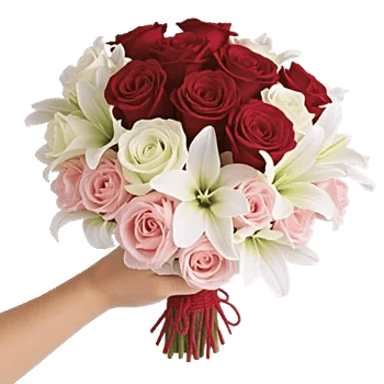 Crimson Rose Elegance