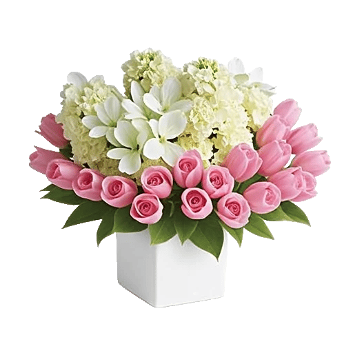 Minimalist White Orchids