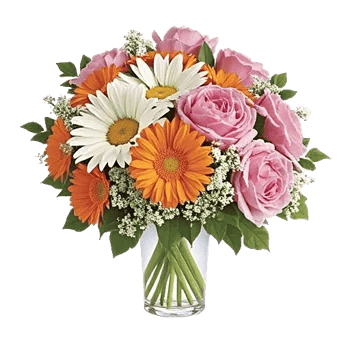 Petal Radiance Bliss