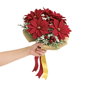 Crimson Rose Elegance