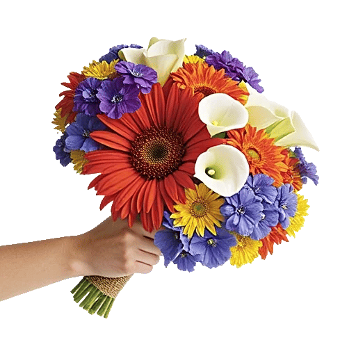 Elegant Calla Lilies