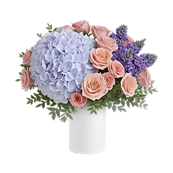 Serene Petal Harmony