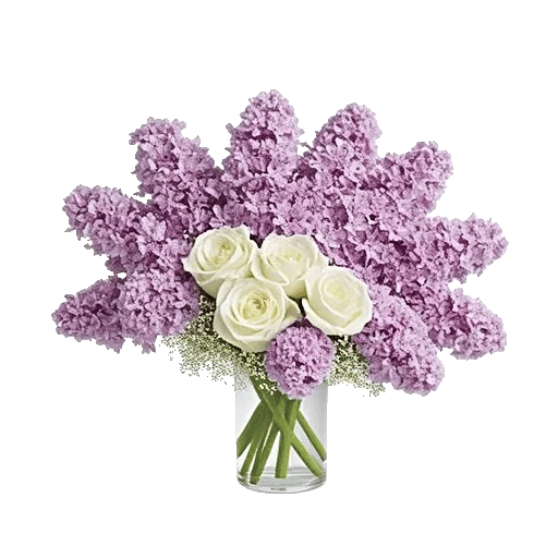 Lavender Bloom Grace