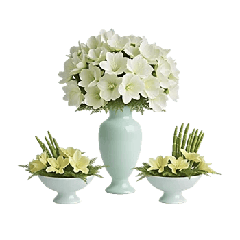 Ivory Blossom Radiance