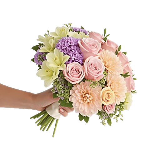 Pastel Pink Roses