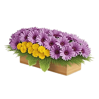 Delicate Petal Cascade