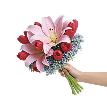 Blossom Petal Serenity