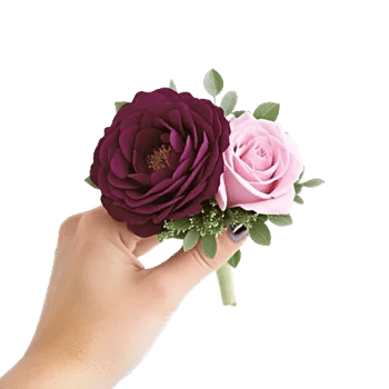 Plum Blossom Radiance